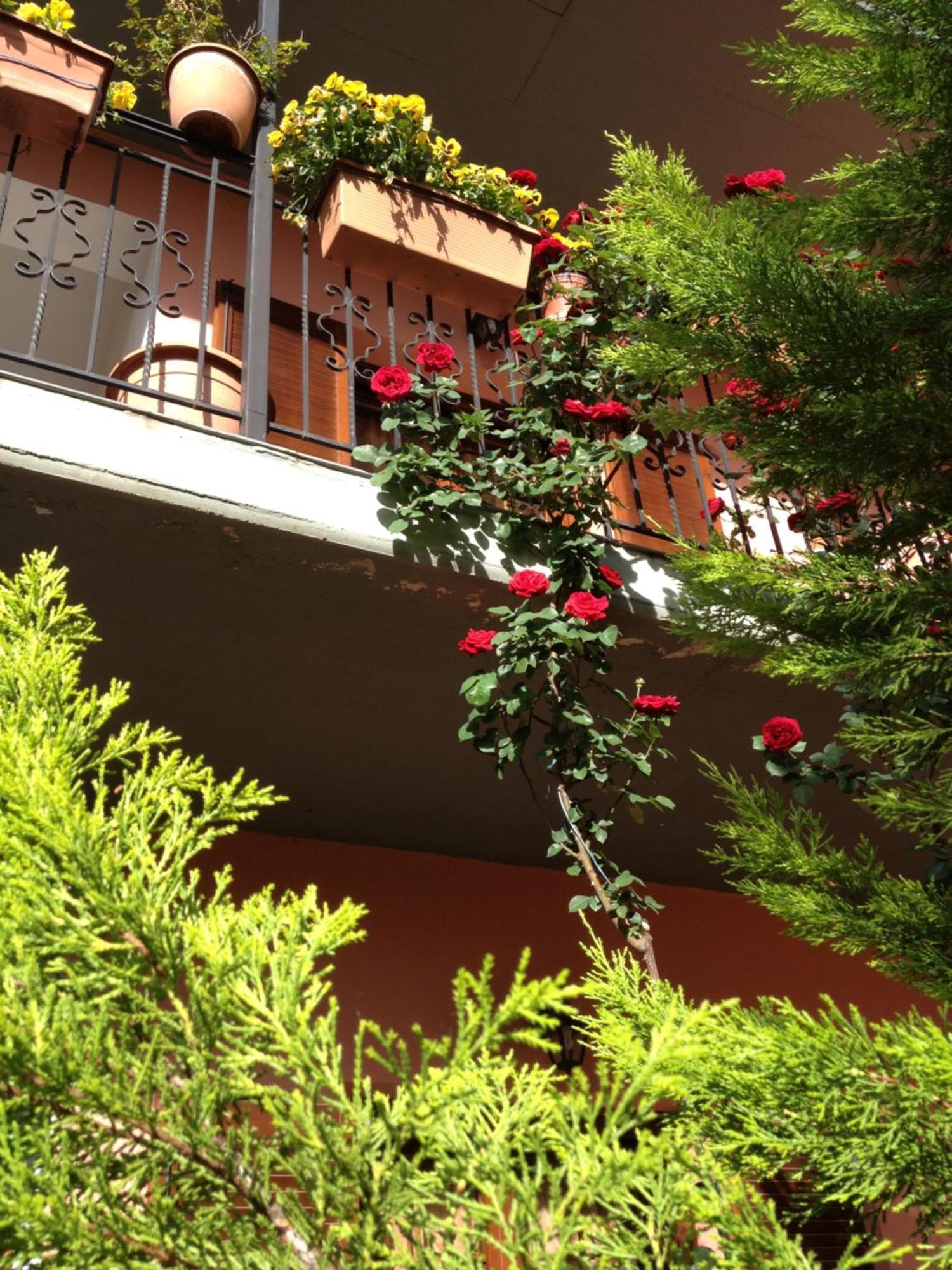 Artemis Apartments Konitsa Exterior photo
