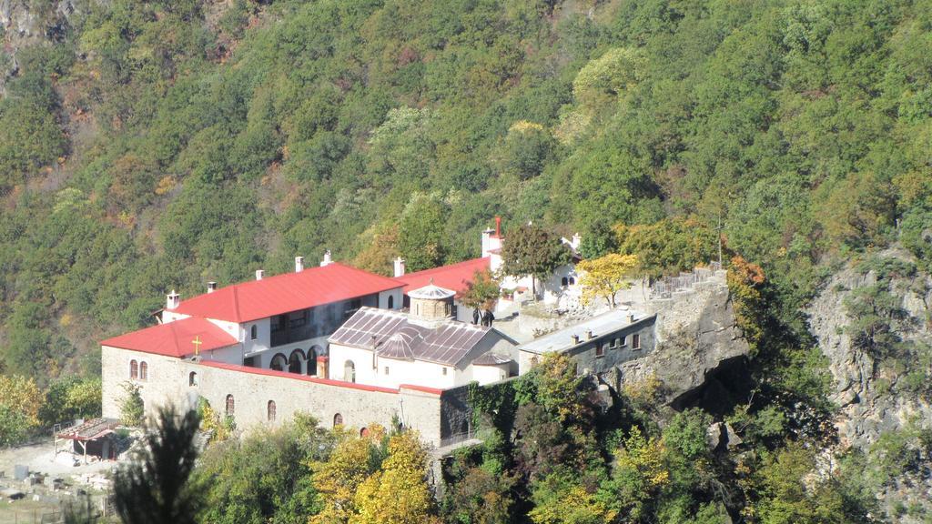 Artemis Apartments Konitsa Exterior photo